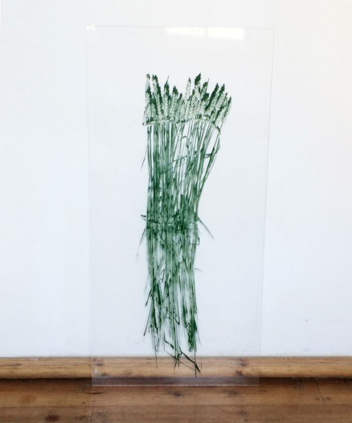 Kaminska renata first value unique object first value Transparent V slavs and tatars 135x60x0 5cm