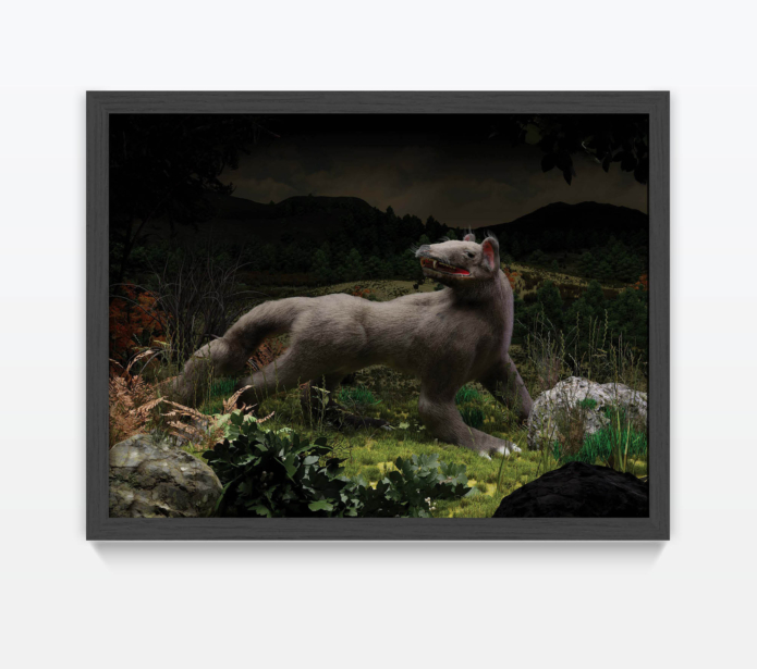 Rafal dominik mutant rodent